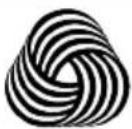 CANDY EY EH8N1DE-S - WOLLMARK - 1