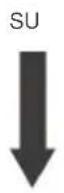 Vevor SDC-60A - Interruttori DIP - 1