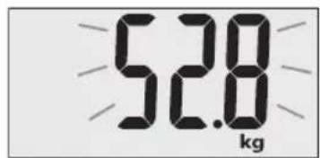TERRAILLON Fast Track - To weigh and measure - 1