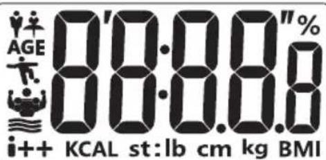 TERRAILLON Fast Track - ECRAN LCD - 1