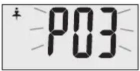 TERRAILLON Fast Track - Automatically identify the user measurement. - 2