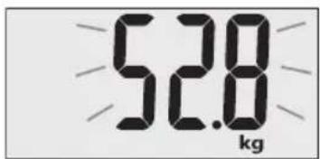 TERRAILLON Fast Track - Poids et mesures - 1