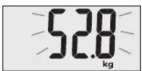 TERRAILLON Fast Track - WARNING INDICATORS - 1