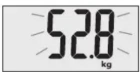 TERRAILLON Fast Track - SIGNAUX D'AVERTISSEMENTS - 1