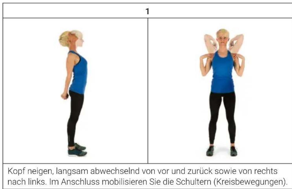 Capital Sports Themis - AUFWÄRMUNG VOR DEM TRAINING - 1