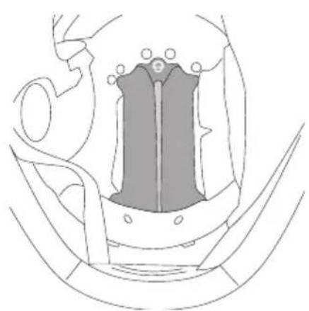 Schuberth S3 - SUMMER AND WINTER ADJUSTMENT FLAPS - 1