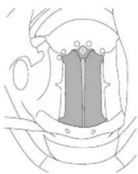 Schuberth S3 - Montaggio del cuscinetto della testa - 1
