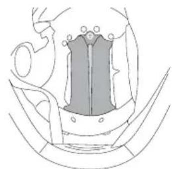 Schuberth Concept - INSTALLATION HEAD PAD - 3