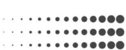 icon M1 - Revisione - 1