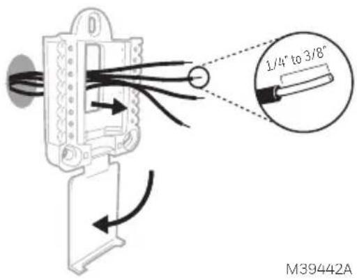 HONEYWELL RTH11B - Insérez les ancres murales. Il est recommandé d'utiliser les ancrages muraux inclus dans la boîte pour installer votre thermostat. - 1