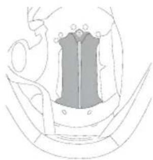 Schuberth J2 - Montaggio dell'imbottitura - 1
