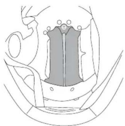 Schuberth J2 - SUMMER AND WINTER ADJUSTMENT FLAPS - 1