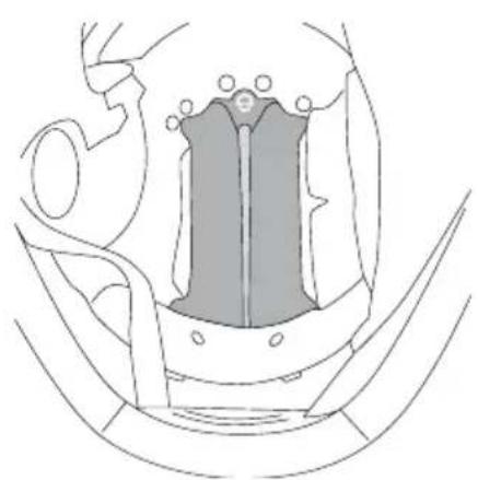 Schuberth E2 CARBON - SUMMER AND WINTER ADJUSTMENT FLAPS - 1