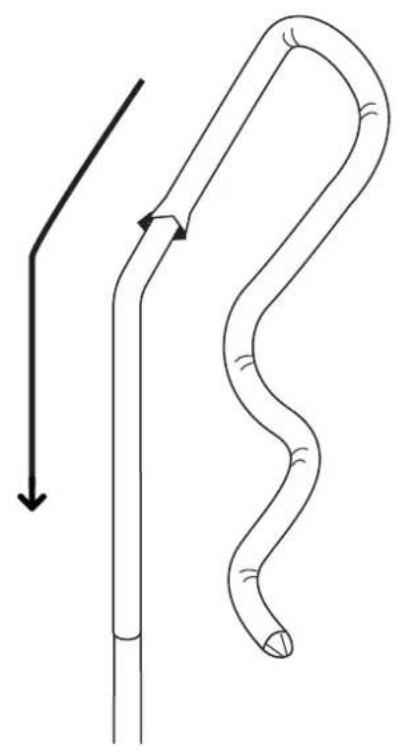 Salta Premium Ground 5837A - VIDEO INSTRUCTIONS - 50