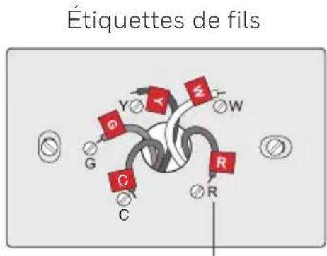 HONEYWELL RTH7600D - Étiqueter les fils - 2