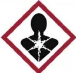 Klarstein Phantasma Futur - Manipulation et stockage du combustible - 11