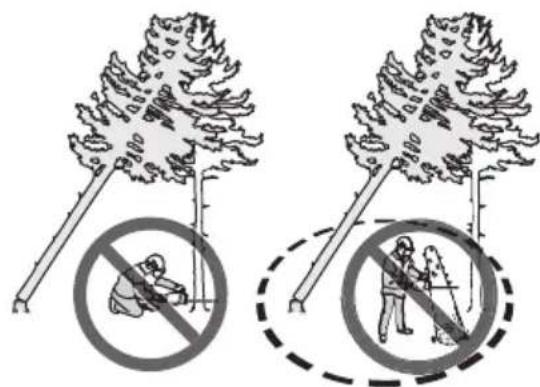 HUSQVARNA 564XP - So befreien Sie einen eingeklemmten Baum - 2