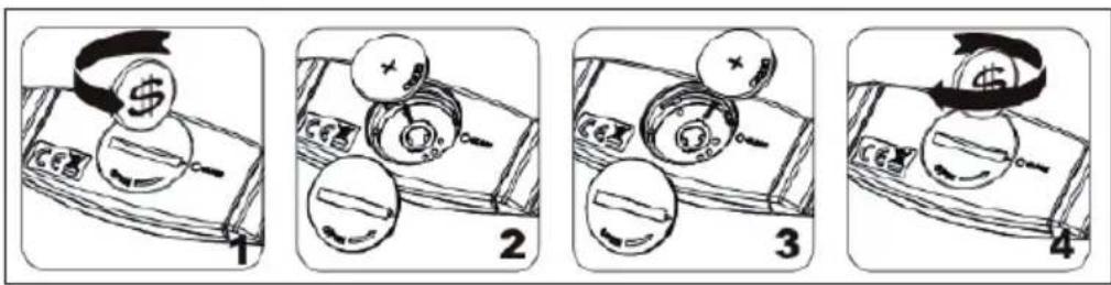 Capital Sports Pulse 5.5 - HOW TO CHANGE THE BATTERY - 1