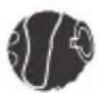 JBL Endurance Peak 4 - 4