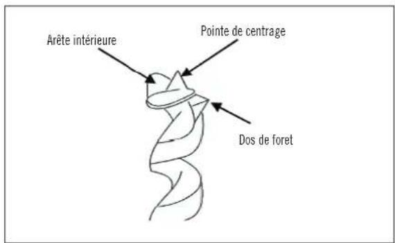 Arête intérieure Pointe de centrage Dos de foret