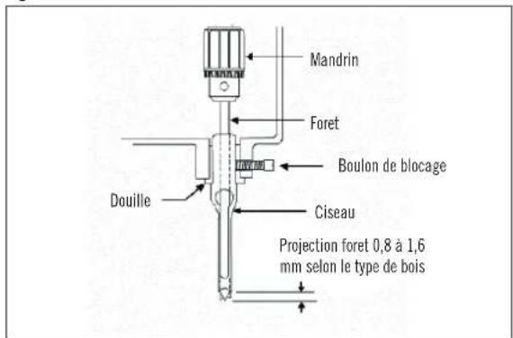 Mandrin Foret Boulon de blocage Douille Ciseau Projection foret 0,8 à 1,6 mm selon le type de bois