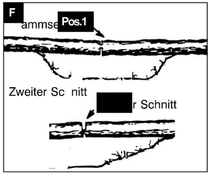 SCHEPPACH BKS5300-PRO - 2