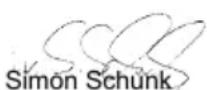 PARKSIDE PBKS 46 B2 - Benzine-kettingzaag - 1