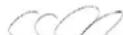 PARKSIDE PBRM 46 A1 - Werkinstructies - 3