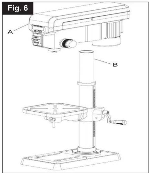Fig. 6 A B