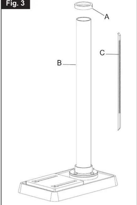 Fig. 3 A B C