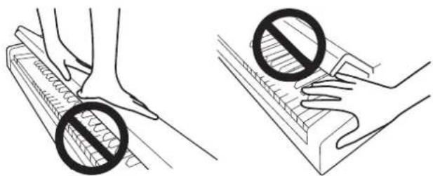 KORG Poetry Magnifique - Closing the key cover - 2
