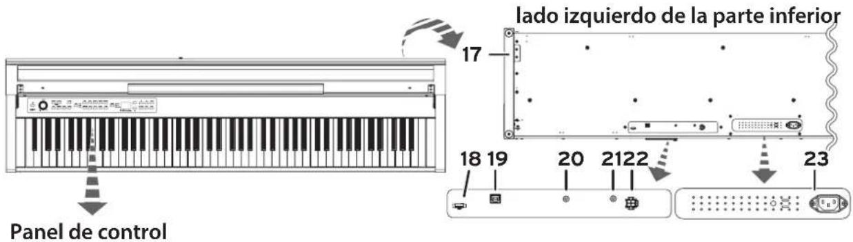 KORG Poetry Magnifique - Partes y sus funciones - 1