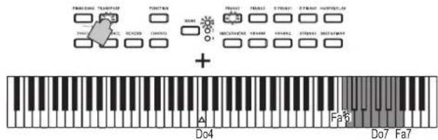 KORG Poetry Magnifique - Transposición - 2