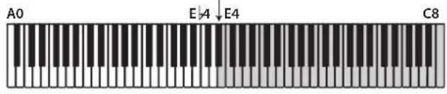 KORG Poetry Magnifique - Acceso al Modo Acompañante - 2