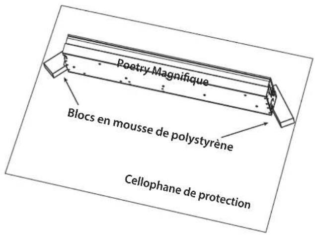 Poetry Magnifique Blocs en mousse de polystyrène Cellophane de protection