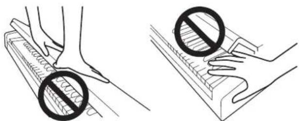 KORG Poetry Magnifique - Schließen des Tastaturdeckels - 5