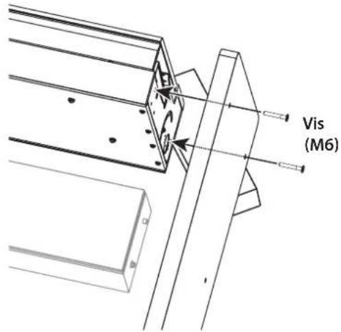 Vis (M6)
