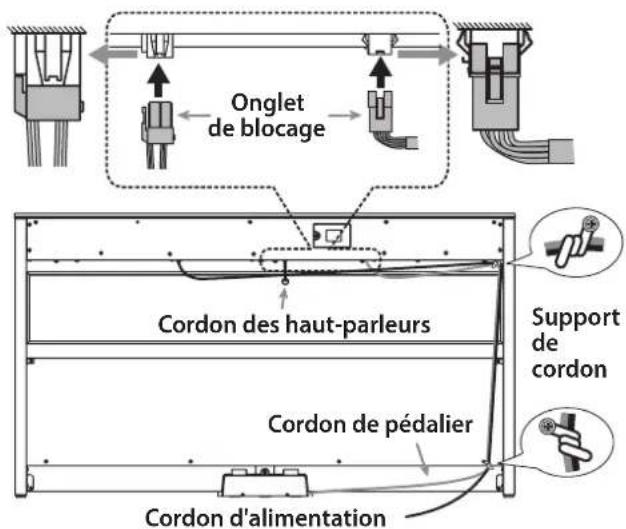 Onglet de blocage Cordon des haut-parleurs Support de cordon Cordon de pédalier Cordon d'alimentation