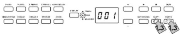 PARDI PEELED E.PARDI E.PARDI HARPERTURF VINCUCUTAN ORGAN1 ORGAN 2 STINCE CHID DISPLAY TEMPS LINE MEASURE 0.01 NCTRONING PART1 PART2 1.3 1.3
