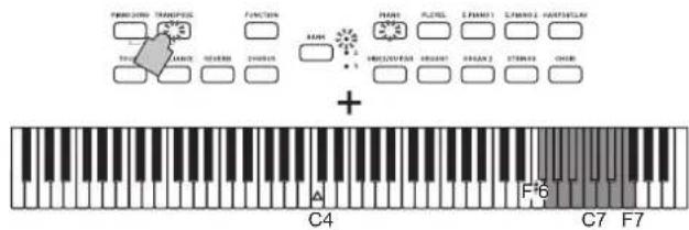 KORG Poetry Magnifique - Transponierung - 2