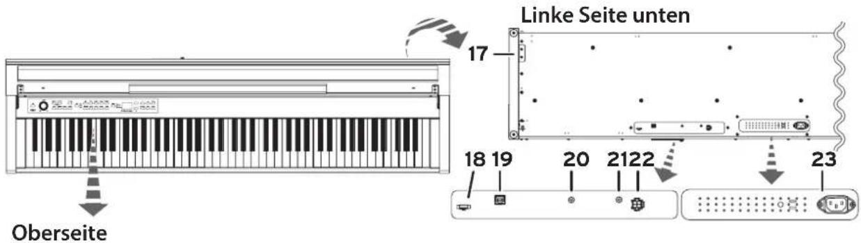 KORG Poetry Magnifique - Teile und Funktionen - 1