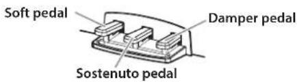 KORG Poetry Magnifique - Using pedals - 1