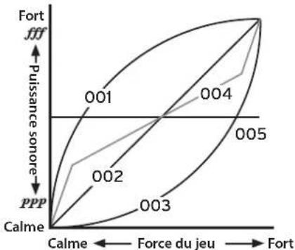 KORG Poetry Magnifique - Réglage du toucher - 2