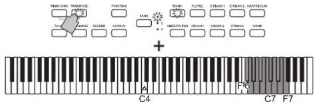 KORG Poetry Magnifique - Transpose - 2