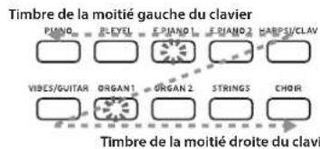 KORG Poetry Magnifique - Attribution des timbres aux moitiés gauche et droite du clavier - 1