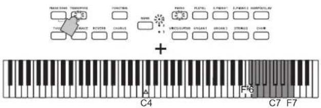 KORG Poetry Magnifique - トランスポーズ（移調）する - 2