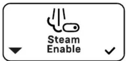 ECM Estetika - Steam Enable (Activation de la vapeur) - 2