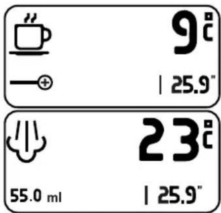 ECM Estetika - After brewing - 1