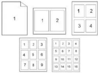 AVISION AM3321w - Choix des options d'impression - 4