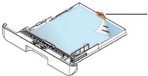 AVISION AM3321w - Chargement du bac d'alimentation principal - 9
